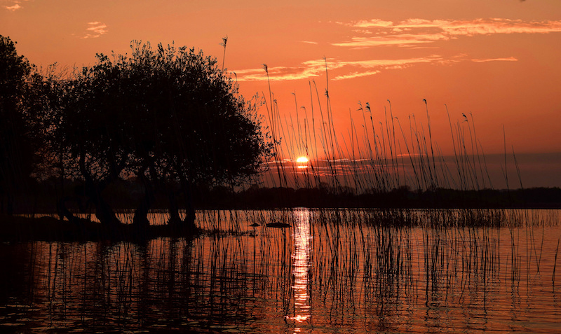 lough ree athlone