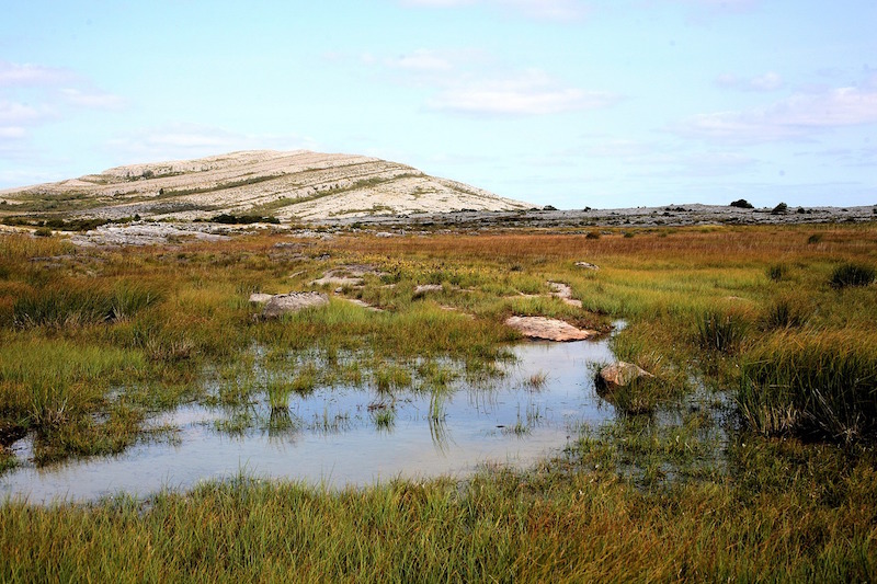 The Burren National Park Guide - Ireland Travel Guides