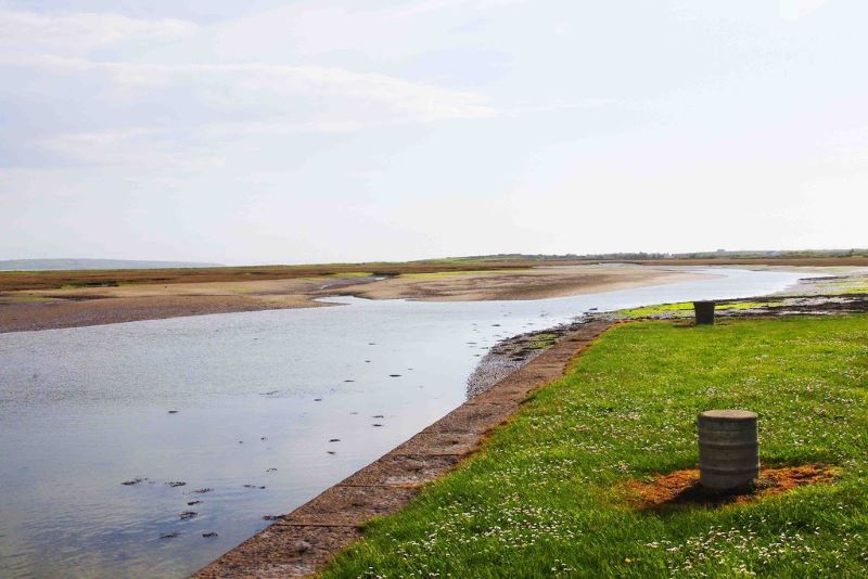 Shannon Estuary