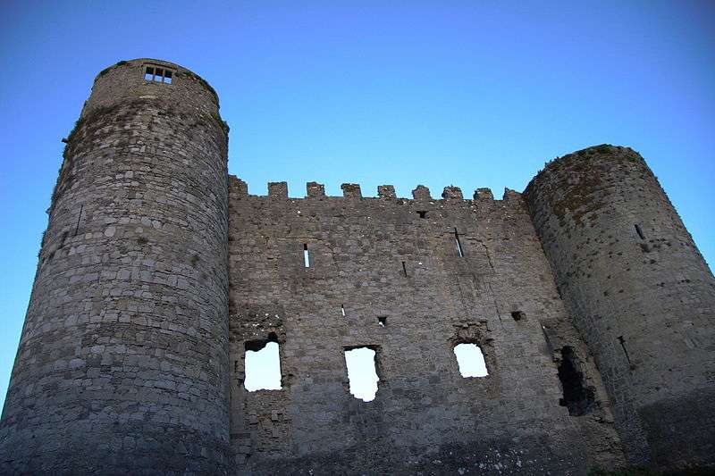 Carlow castle