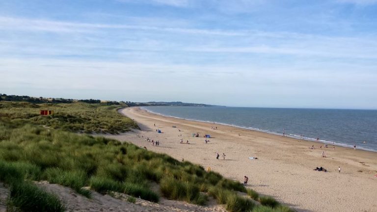 15 Best Things To Do In Wexford (For 2024) - Ireland Travel Guides