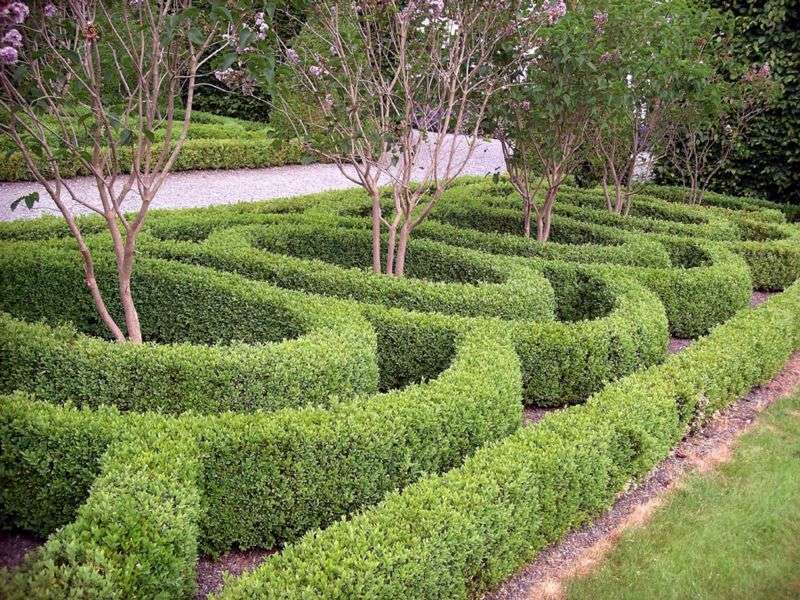 Birr Castle Box Hedges