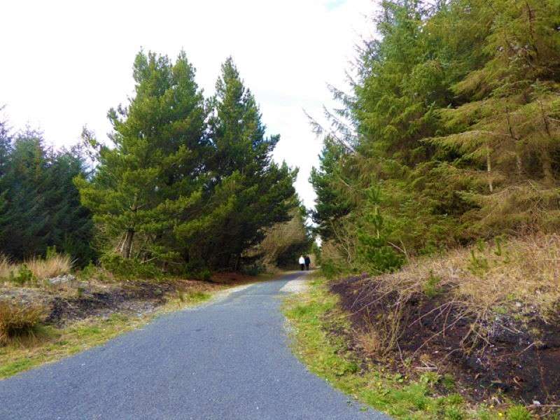 Lough Boora Discovery Park