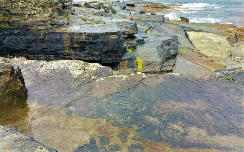 Tetrapod Trackway Valentia Island