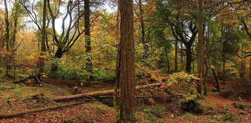 Slieve Gullion Forest Park 