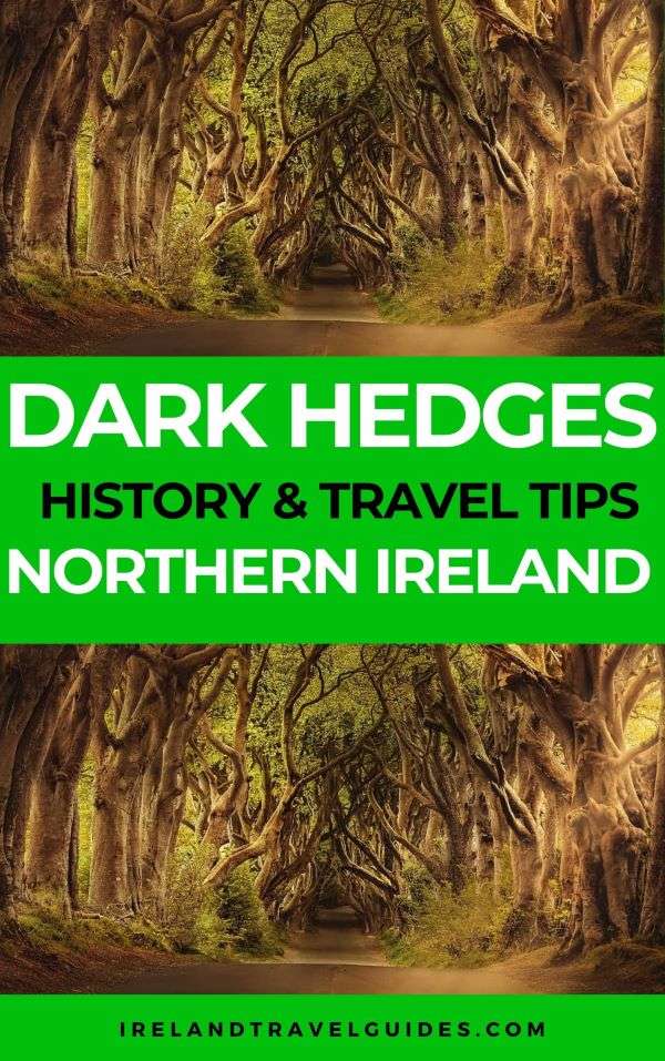 Dark Hedges: History And All The Things You Need To Know