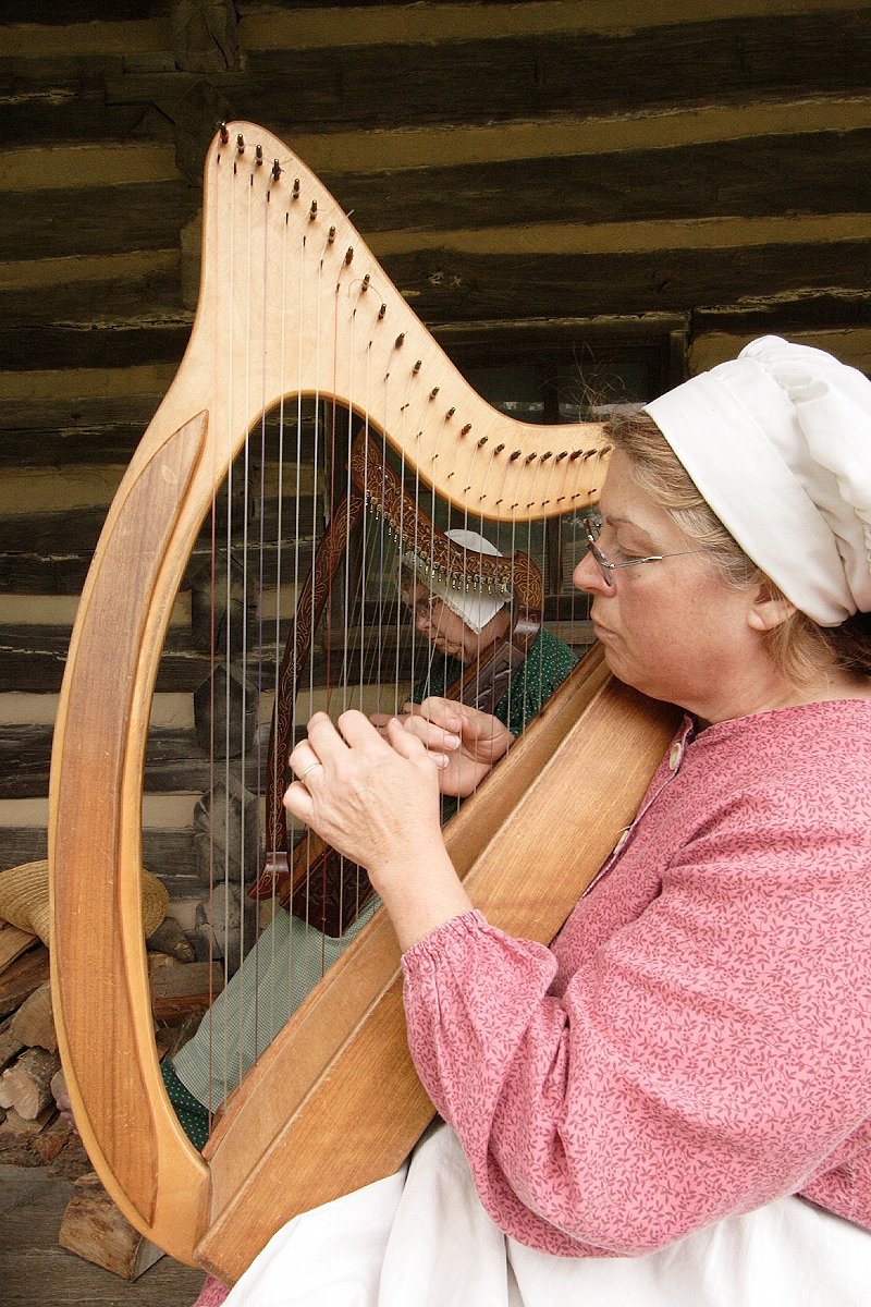 the irish harp