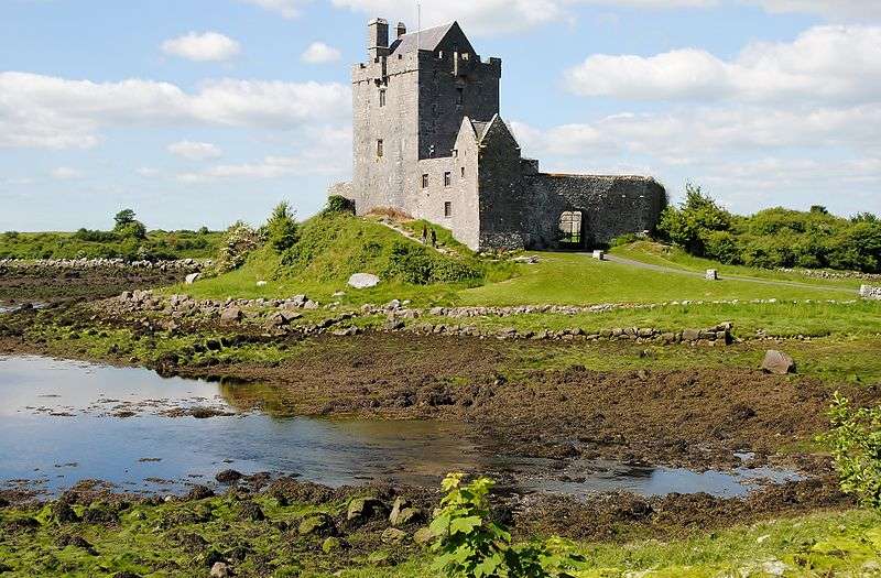 Dunguaire Castle