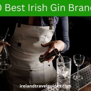 10 Best Irish Gin Brands