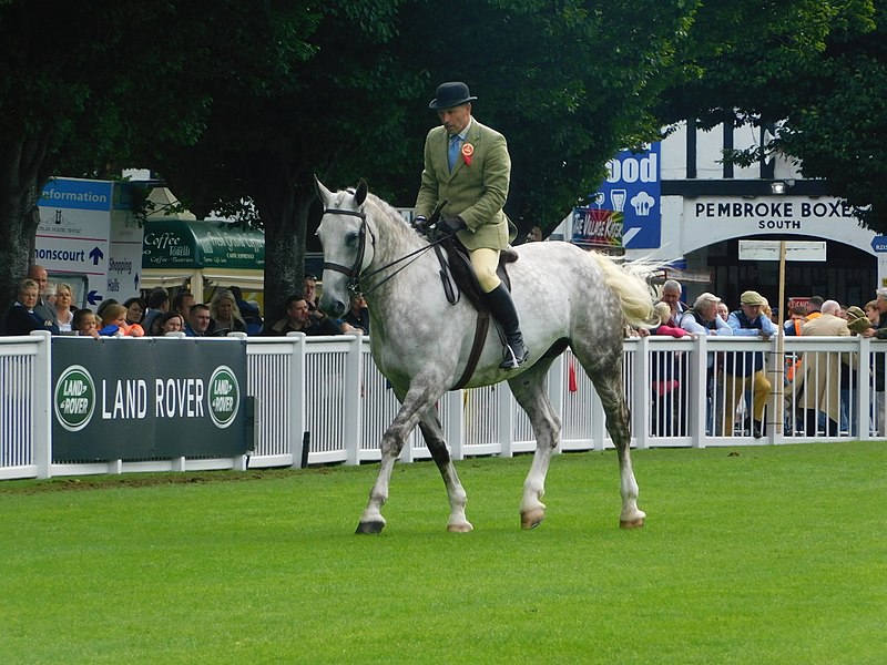 Horse-riding