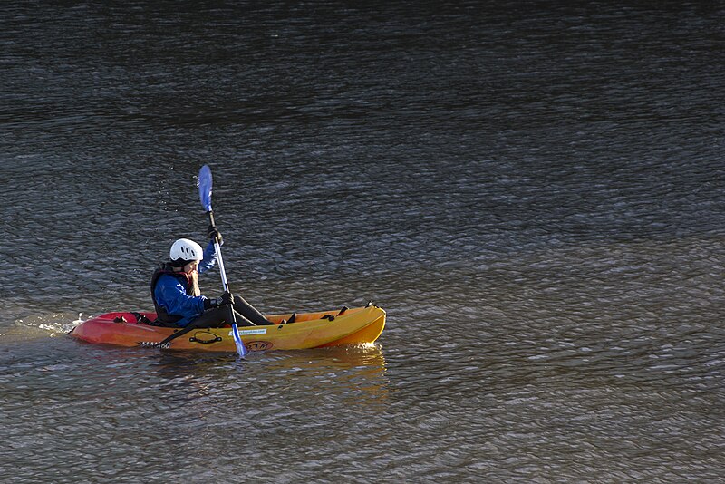 Kayaking in Dublin