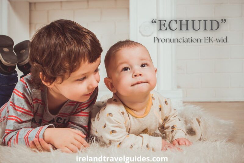 31+ Irish Boy Names That Starts With E (h2)