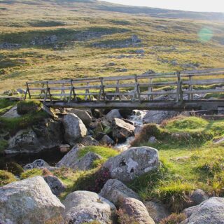 Wicklow Mountains National Park