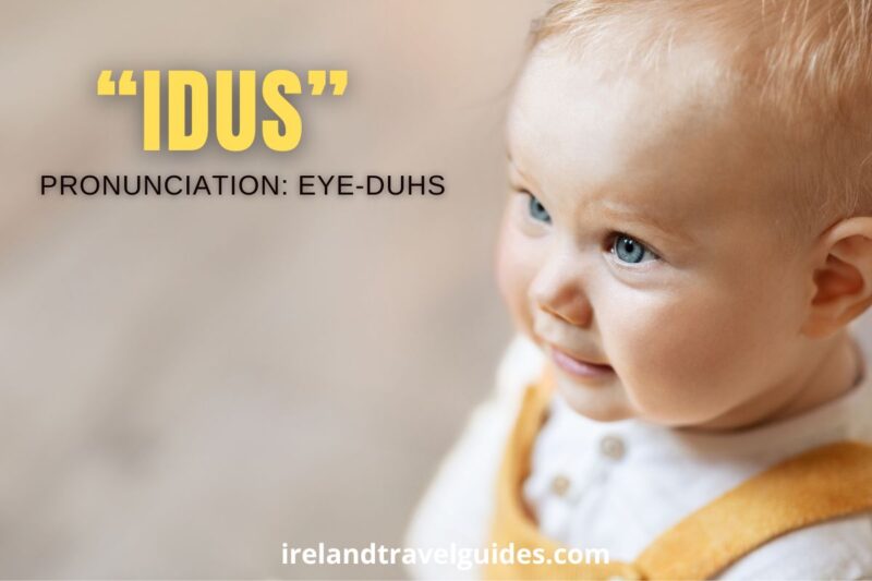 50+ Irish Boy Names Starting With I