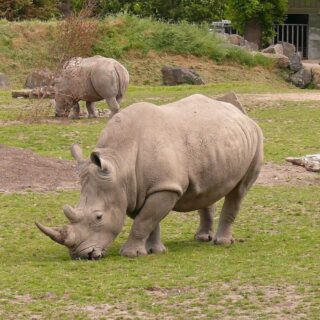 Dublin Zoo