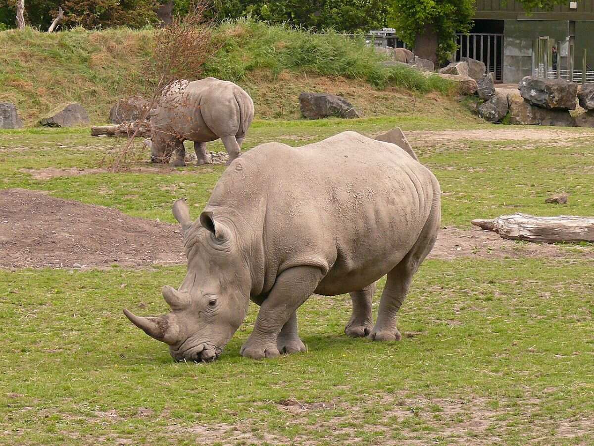 Dublin Zoo