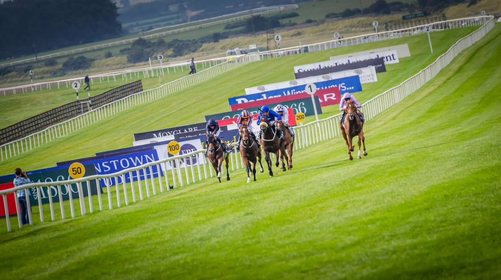 Horse Racing In Ireland_Curragh Featured Image