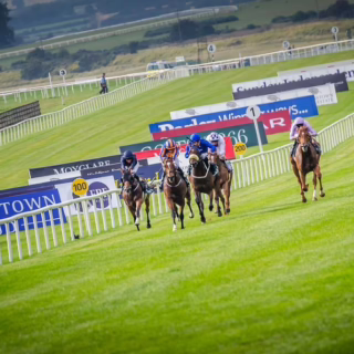 Horse Racing In Ireland_Curragh Featured Image