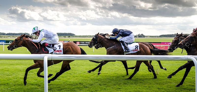 Irish Derby Horse Race